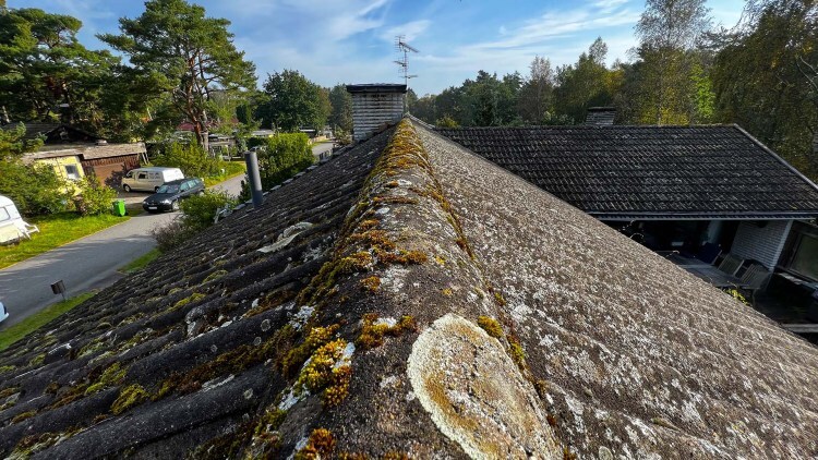 Ta Bort Mossa På Taket